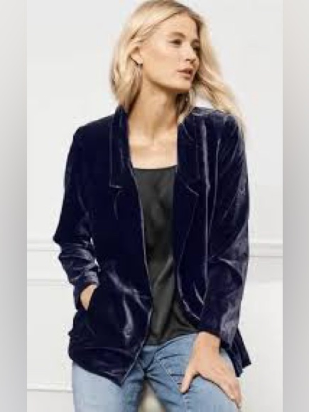 Eileen Fisher Blue Velvet Jacket Blazer Sz Large